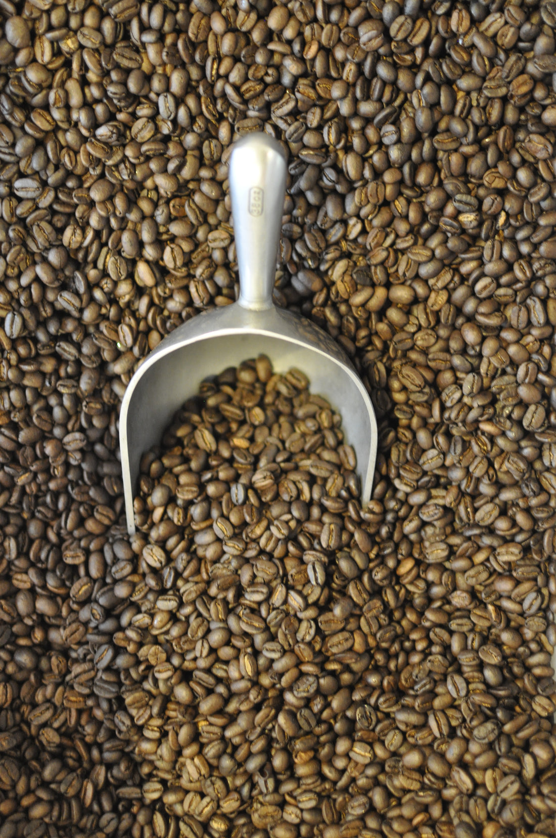 Organic vs Conventional coffee