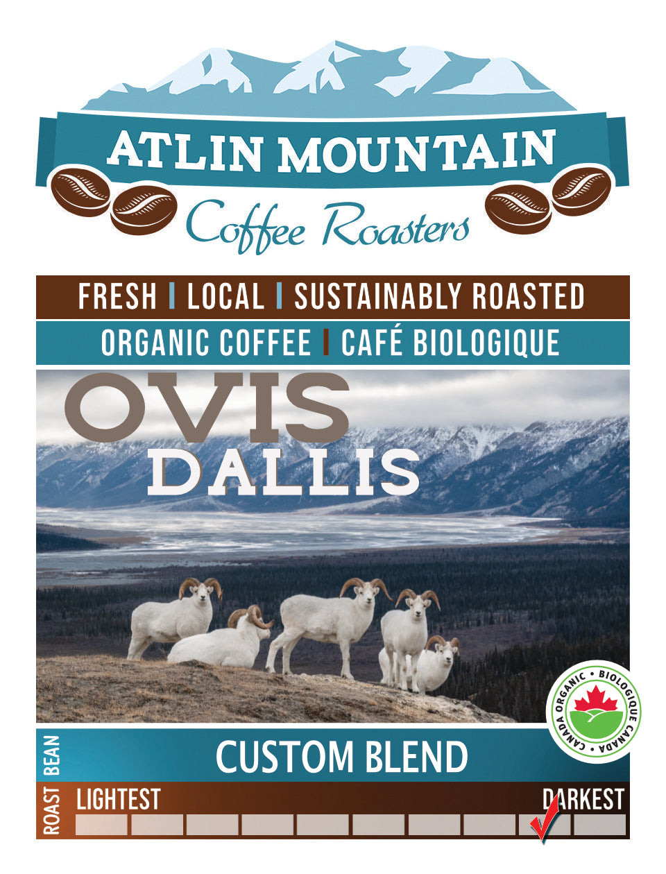 Ovis Dallis - Organic coffee - Dall sheep blend - Fundraiser for BC Wild sheep society